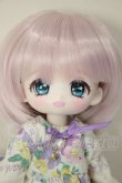 画像1: ボニーバニー6/ぷりまび様カスタム A-26-07-06-251-NY-ZA (1)