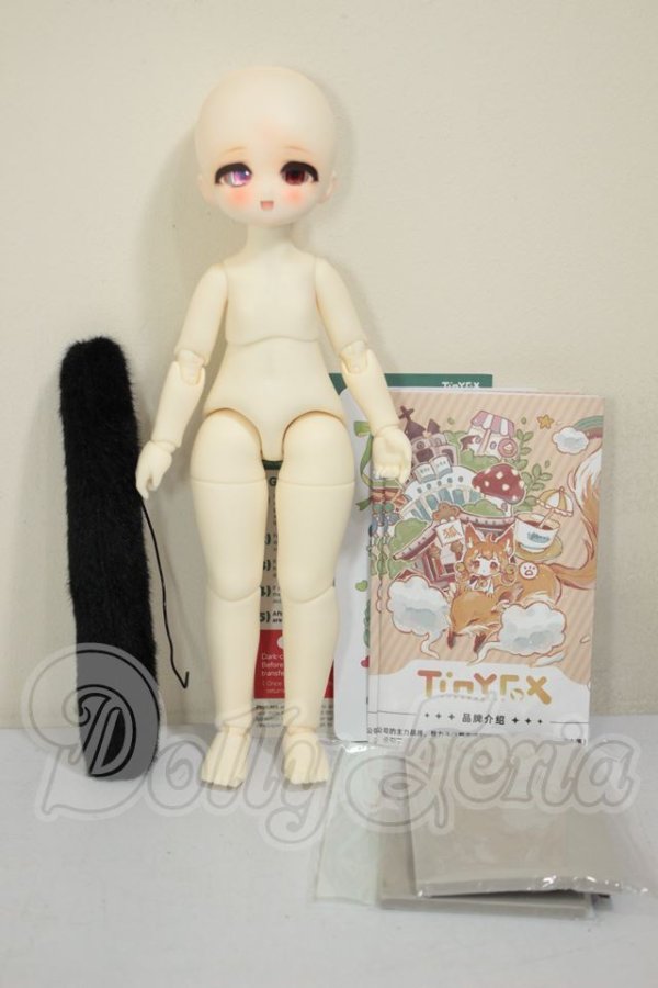 画像5: TinyFox/夕暮れ子猫 カサンドラ A-26-07-06-252-NY-ZA (5)