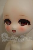 画像6: TinyFox/夕暮れ子猫 カサンドラ A-26-07-06-252-NY-ZA (6)