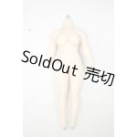 画像: 1/6アクションフィギュア/女性ボディ A-26-07-20-387-NY-ZA