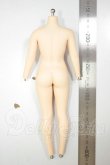 画像2: 1/6アクションフィギュア/女性ボディ A-26-07-20-387-NY-ZA (2)