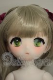 画像1: PUYOO DOLL/KUMAKO Toy Symphony ver. Limited A-26-07-13-255-NY-ZA (1)