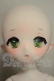 画像2: PUYOO DOLL/KUMAKO Toy Symphony ver. Limited A-26-07-13-255-NY-ZA (2)