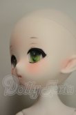 画像4: PUYOO DOLL/KUMAKO Toy Symphony ver. Limited A-26-07-13-255-NY-ZA (4)
