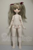 画像5: PUYOO DOLL/KUMAKO Toy Symphony ver. Limited A-26-07-13-255-NY-ZA (5)
