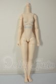 画像1: オビツ製作所/オビツボディver.2 ホワイティ 26cm バストM A-26-07-13-115-NY-ZA (1)