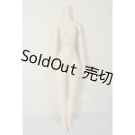 画像: オビツ製作所/オビツボディver.2 ホワイティ 26cm バストM A-26-07-13-115-NY-ZA
