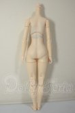 画像2: オビツ製作所/オビツボディver.2 ホワイティ 26cm バストM A-26-07-13-115-NY-ZA (2)