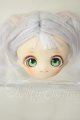 画像: PARABOX/カスタムヘッド:ヒカリヘッド PB-1104 A-26-07-13-113-NY-ZA