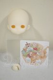 画像2: TinyFox/1/6ノーメイクヘッド A-26-07-13-288-NY-ZA (2)