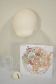 画像2: TinyFox/1/6ノーメイクヘッド A-26-07-13-287-NY-ZA (2)