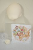 画像2: TinyFox/1/6ノーメイクヘッド A-26-07-13-285-NY-ZA (2)