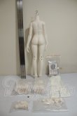 画像2: ufdoll/1/4 Lady body set A-26-07-13-129-NY-ZA (2)