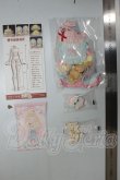 画像4: momotale未語集 /四季喫茶物語 予約限定 ミルクティー店長 A-26-07-13-135-NY-ZA (4)
