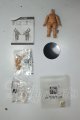 画像: YMY/幼体　約5.5ｃｍ A-26-07-13-234-NY-ZA