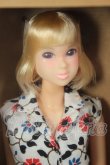 画像1: momokoDOLL/みんなでつくるmomokoドール2016 A-26-07-13-321-NY-ZA (1)
