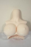 画像1: DDｄｙ/上半身パーツ A-26-08-10-247-NY-ZA (1)