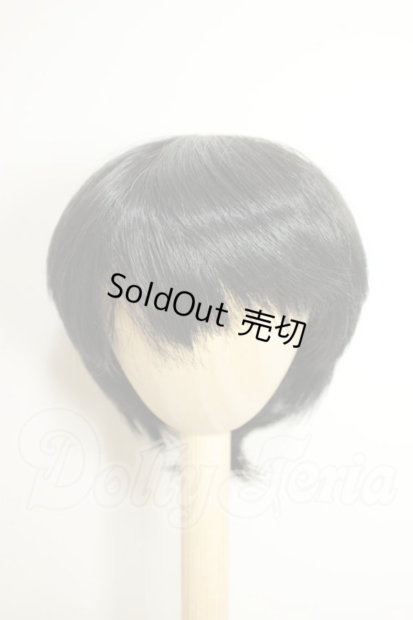 画像1: 9-10inch/ウィッグ A-26-07-20-341-NY-ZA (1)