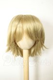 画像1: 9-10inch/ウィッグ A-26-07-20-334-NY-ZA (1)