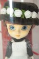 画像: リトルプーリップ/赤毛のアン A-26-07-13-358-NY-ZA