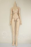 画像1: DD/ベースボディIII A-26-07-20-325-NY-ZA (1)