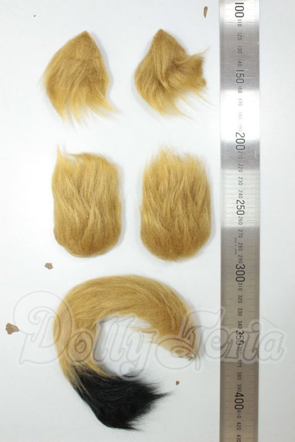 画像2: MDD/狼セット A-26-07-20-378-NY-ZA (2)