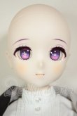 画像3: DD/フェルン A-26-08-10-302-NY-ZA (3)