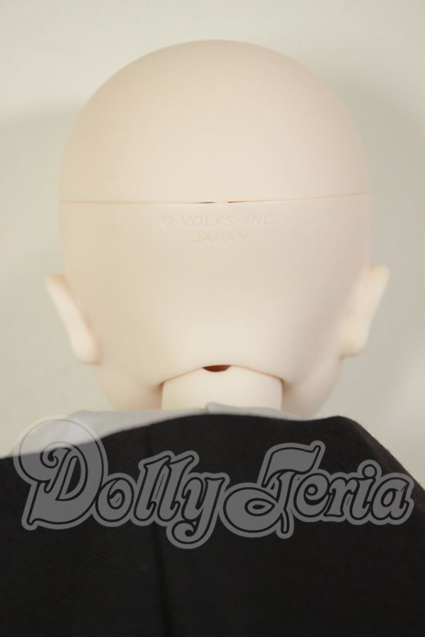 画像6: DD/フェルン A-26-08-10-302-NY-ZA (6)