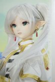 画像1: DDS/?フリーレン A-26-08-10-301-NY-ZA (1)