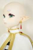 画像5: DDS/?フリーレン A-26-08-10-301-NY-ZA (5)