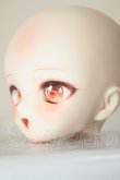 画像3: DD/カスタムヘッド：DDH-01(Emmie's empire/EE様) A-26-07-27-106-NY-ZA (3)