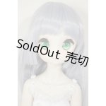 画像: MDD/ドリームチョイス DC-H-21+もちあしボディ A-26-07-27-103-NY-ZA