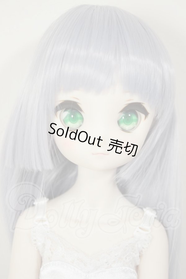 画像1: MDD/ドリームチョイス　DC-H-21+もちあしボディ A-26-07-27-103-NY-ZA (1)