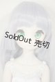 画像: MDD/ドリームチョイス　DC-H-21+もちあしボディ A-26-07-27-103-NY-ZA