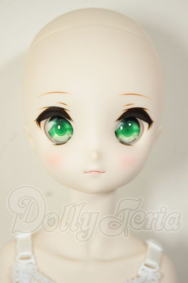 画像2: MDD/ドリームチョイス　DC-H-21+もちあしボディ A-26-07-27-103-NY-ZA (2)