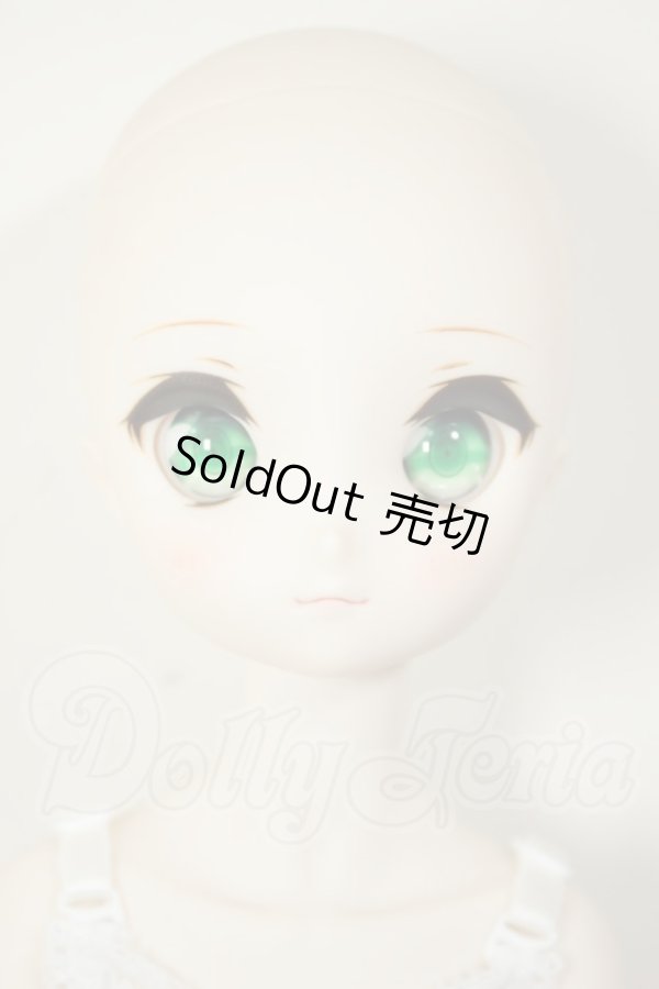 画像2: MDD/ドリームチョイス　DC-H-21+もちあしボディ A-26-07-27-103-NY-ZA (2)