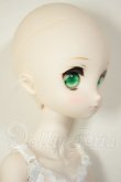 画像3: MDD/ドリームチョイス　DC-H-21+もちあしボディ A-26-07-27-103-NY-ZA (3)