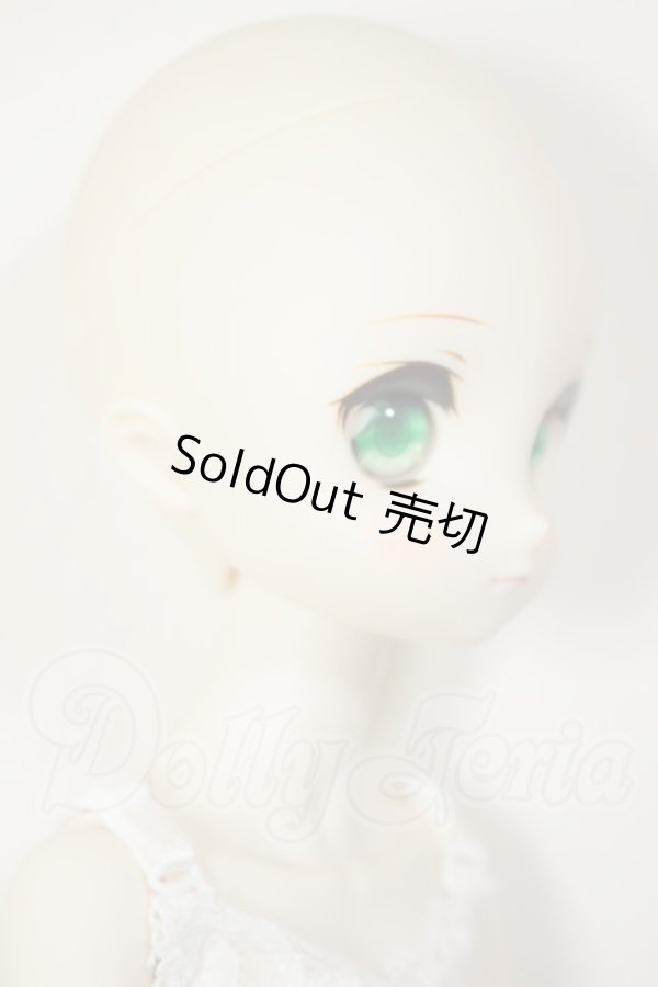 画像3: MDD/ドリームチョイス　DC-H-21+もちあしボディ A-26-07-27-103-NY-ZA (3)