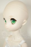 画像4: MDD/ドリームチョイス　DC-H-21+もちあしボディ A-26-07-27-103-NY-ZA (4)