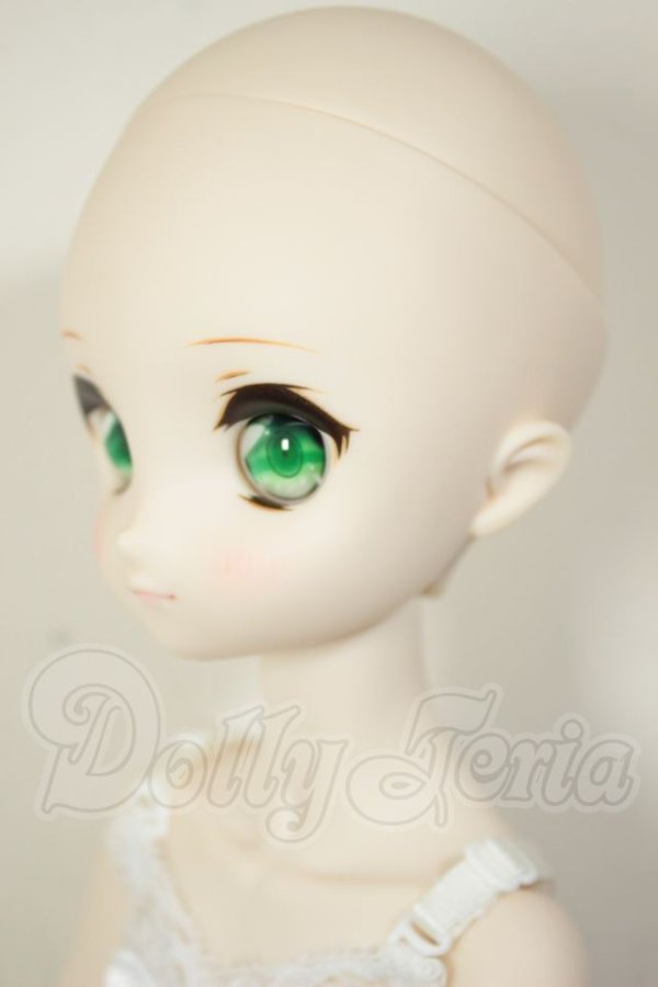 画像4: MDD/ドリームチョイス　DC-H-21+もちあしボディ A-26-07-27-103-NY-ZA (4)