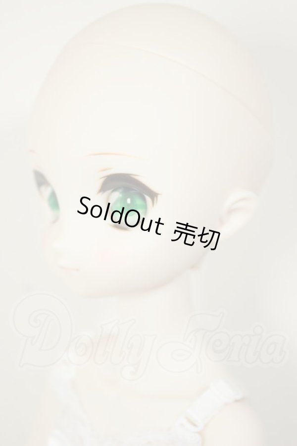 画像4: MDD/ドリームチョイス　DC-H-21+もちあしボディ A-26-07-27-103-NY-ZA (4)