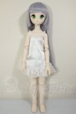 画像6: MDD/ドリームチョイス　DC-H-21+もちあしボディ A-26-07-27-103-NY-ZA (6)