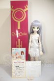 画像8: MDD/ドリームチョイス　DC-H-21+もちあしボディ A-26-07-27-103-NY-ZA (8)