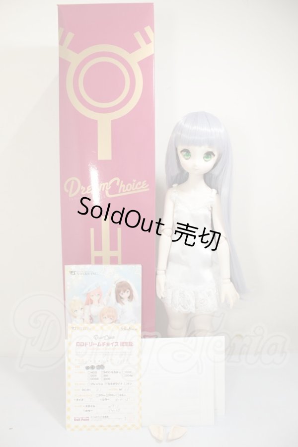 画像8: MDD/ドリームチョイス　DC-H-21+もちあしボディ A-26-07-27-103-NY-ZA (8)