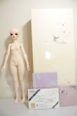 画像4: Asleep Eidolon /Stacia A-26-07-27-141-NY-ZA (4)