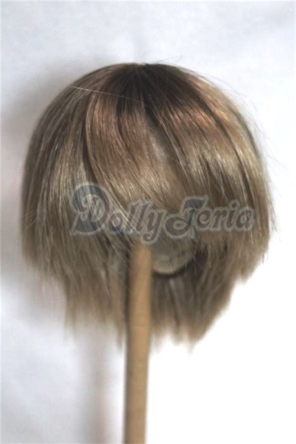 画像1: 9-10inch/ウィッグ/インチ　BJD　MJD　ドール用 A-26-08-10-155-NY-ZA (1)