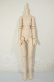 画像1: MDD/ベースボディ(DD-f3) A-26-07-27-310-NY-ZA (1)