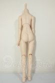 画像2: MDD/ベースボディ(DD-f3) A-26-07-27-310-NY-ZA (2)
