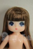 画像1: プチジェニー/ナイチンゲール　エクセリーナ　本体のみ A-26-08-10-281-NY-ZA (1)