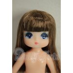 画像: プチジェニー/ナイチンゲール エクセリーナ 本体のみ A-26-08-10-281-NY-ZA